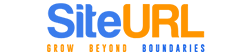 Web Design Company in Mysore
