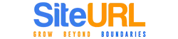 Web Design Company in Mysore